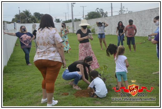 rolim de moura